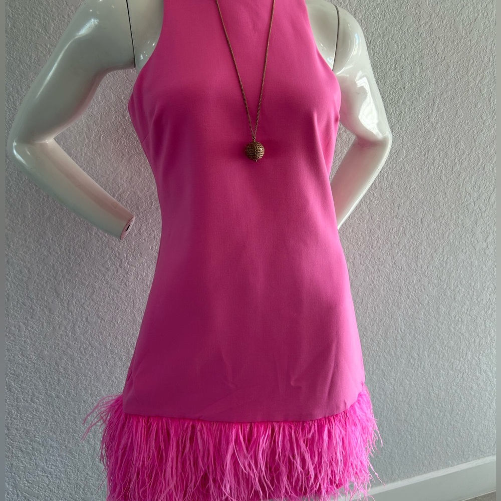 Likely Pink Dress with Feather Detail Great Valentines Date !